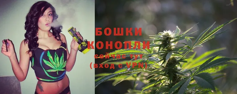 Бошки марихуана Ganja  купить наркоту  Жердевка 